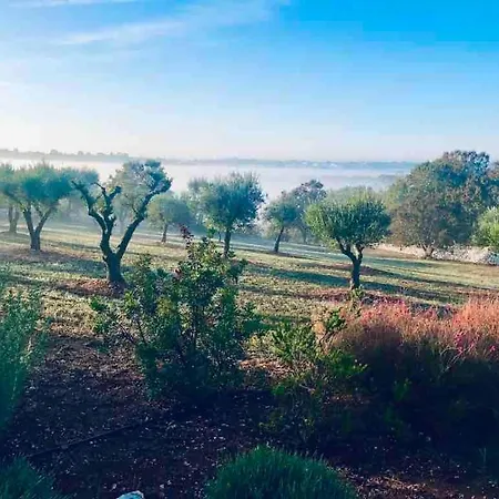 Il Trullo Di Ninno ロコロトンド