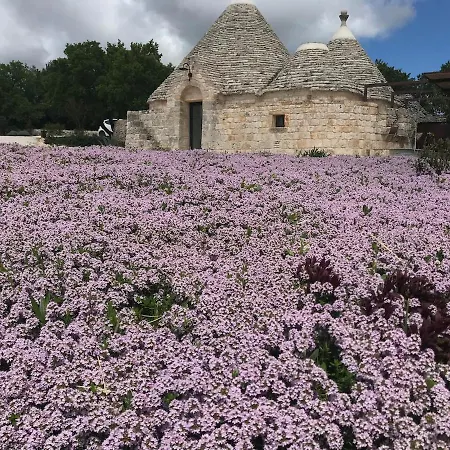 Il Trullo Di Ninno